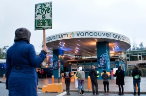 Yoga practioners protest the Vancouver Aquarium's yoga with the beluga whales program on Nov. 14, 2013.